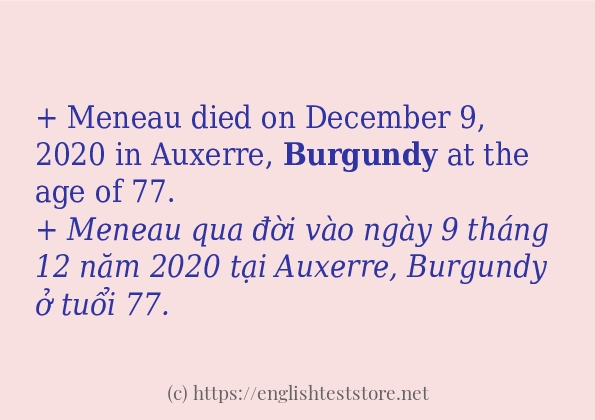 burgundy câu ví dụ và cách dùng