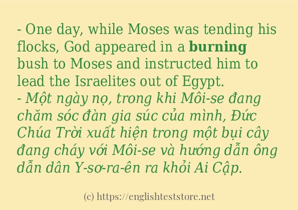 burning cách dùng và ví dụ trong câu