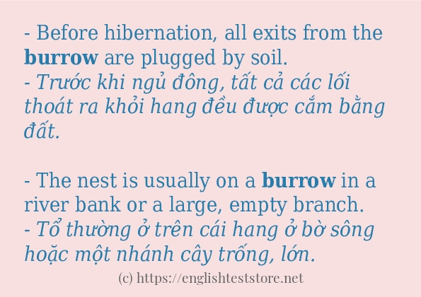 burrow ví dụ cách dùng trong câu burrow ví dụ cách dùng trong câu