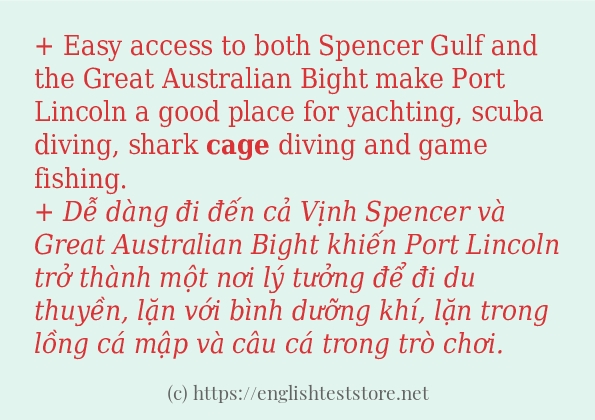 cage có bao nhiêu cách sử dụng? cage có bao nhiêu cách sử dụng?