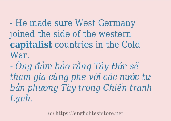 capitalist ví dụ và cách sử dụng trong câu