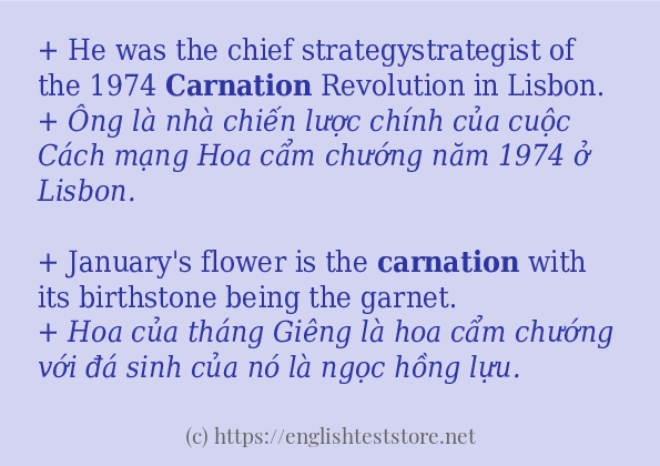 carnation sử dụng như thế nào và câu ví dụ
