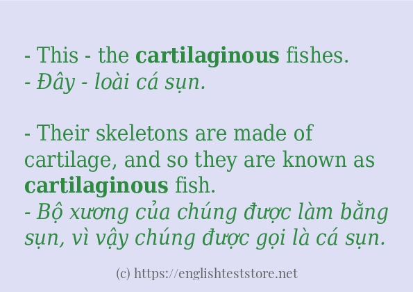 cartilaginous cách dùng và câu ví dụ