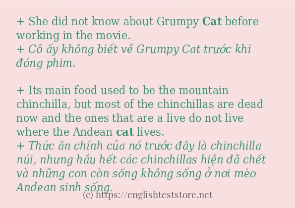 cat áp dụng trong câu và ví dụ