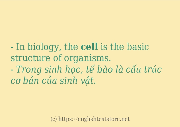 cell cách dùng và câu ví dụ