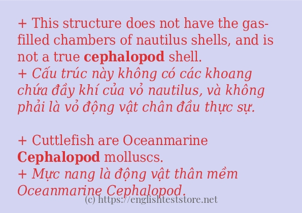 cephalopod ví dụ và cách sử dụng trong câu