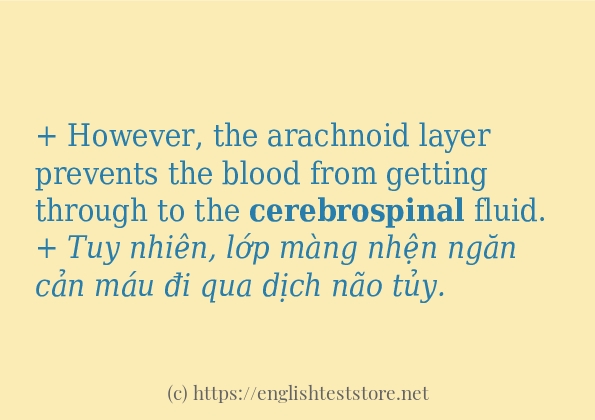 cerebrospinal cách sử dụng và câu ví dụ cerebrospinal cách sử dụng và câu ví dụ