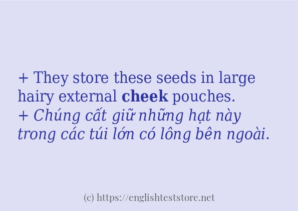 cheek các cách dùng và câu ví dụ cheek các cách dùng và câu ví dụ