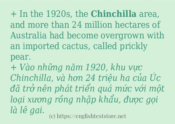 chinchilla cách dùng và câu ví dụ