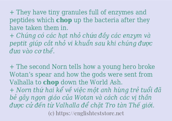 chop dùng như thế nào?
