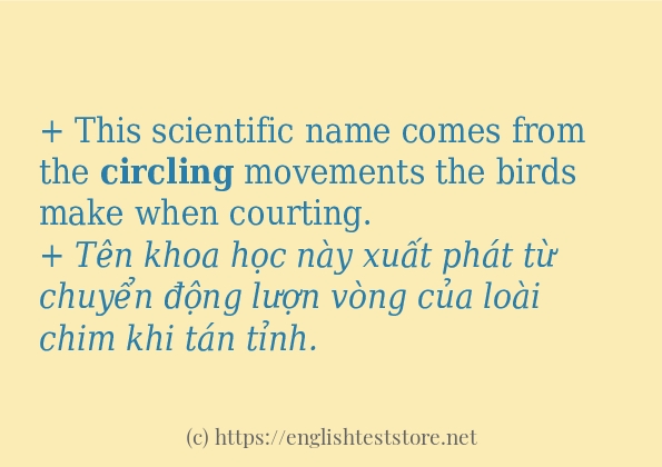 circling dùng như thế nào?