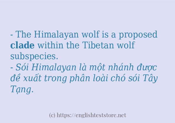 clade các cách dùng và câu ví dụ