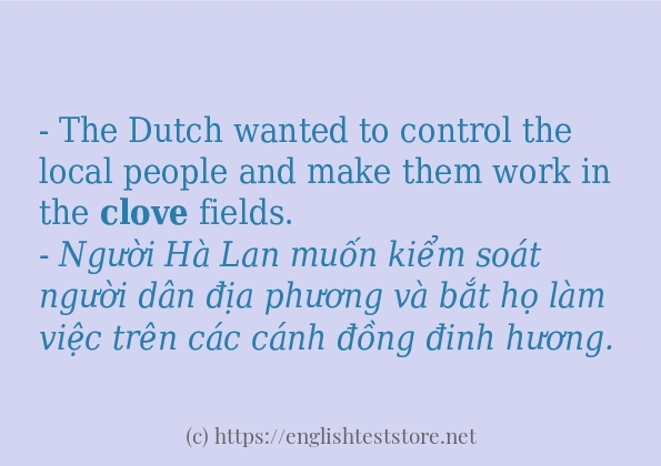 clove sử dụng như thế nào?