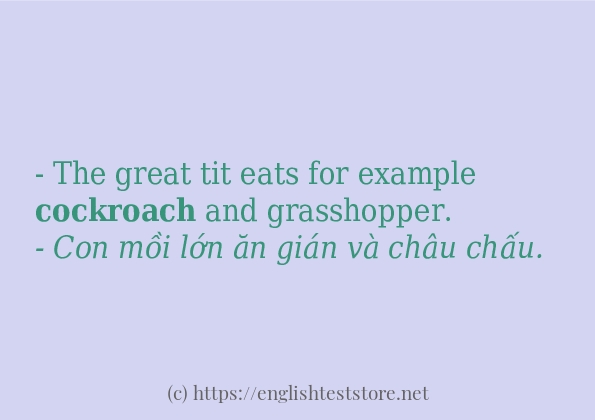 cockroach các ví dụ và câu điển hình cockroach các ví dụ và câu điển hình