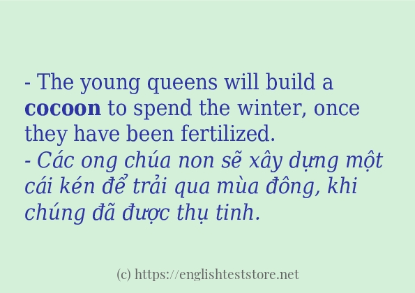 cocoon dùng như thế nào?