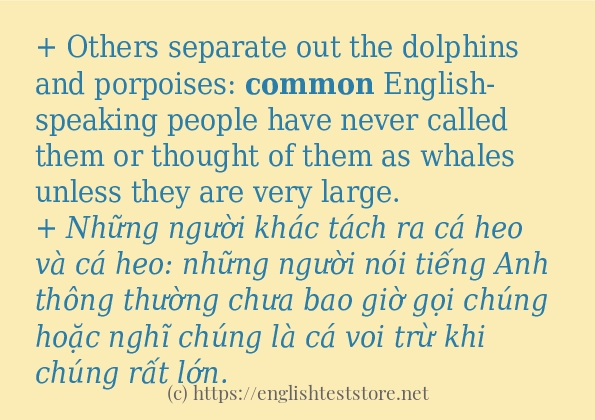 common cách dùng trong câu và ví dụ