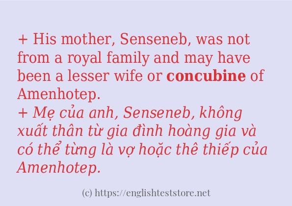 concubine cách dùng và ví dụ trong câu