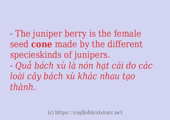 cone câu ví dụ và cách sử dụng