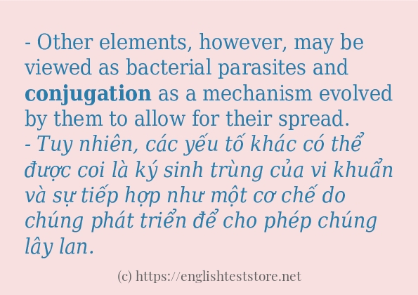 conjugation câu ví dụ về cách dùng conjugation câu ví dụ về cách dùng