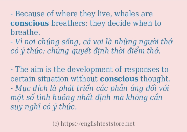 conscious cách dùng và ví dụ trong câu