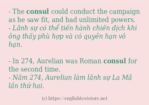 consul cách sử dụng trong câu và ví dụ