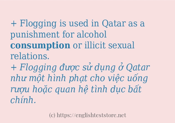 consumption cách sử dụng trong câu và ví dụ