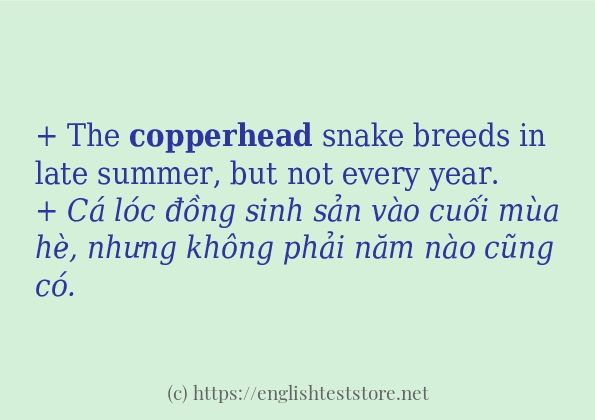 copperhead cách dùng trong câu và ví dụ