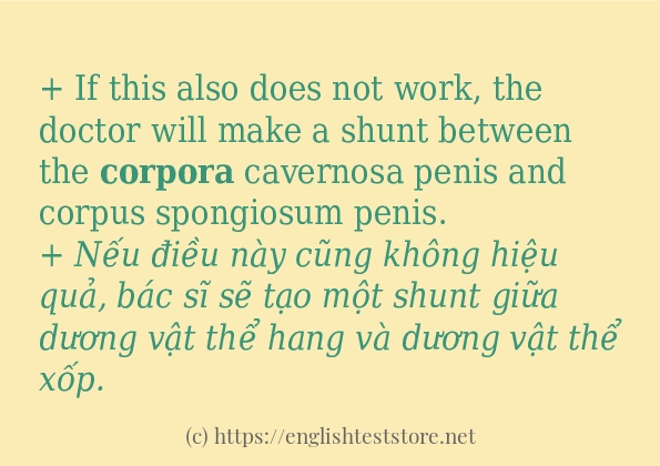 corpora cách sử dụng trong câu và ví dụ
