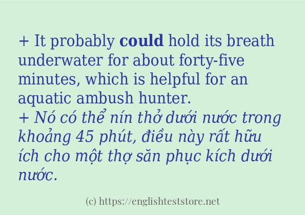 could câu ví dụ và cách dùng could câu ví dụ và cách dùng