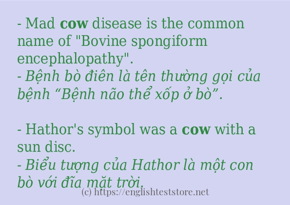 cow sử dụng thực tế trong câu