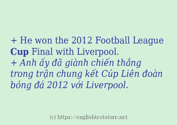 cup có bao nhiêu cách sử dụng?