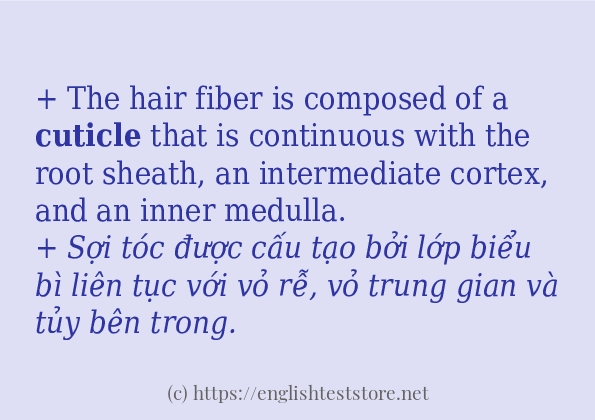 cuticle sử dụng như thế nào?