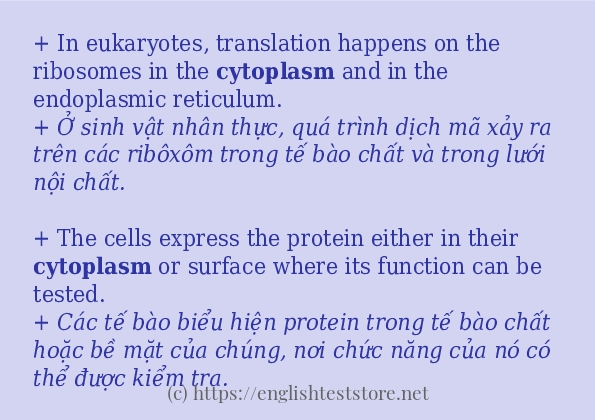 cytoplasm cách sử dụng trong câu và ví dụ