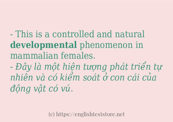 developmental câu ví dụ và cách dùng