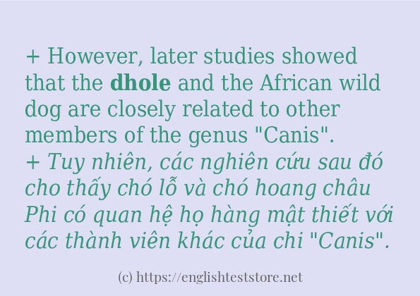 dhole cách dùng và ví dụ trong câu