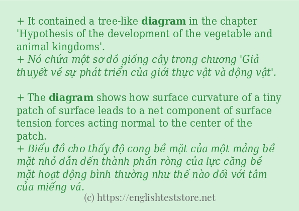 diagram các ví dụ và câu điển hình