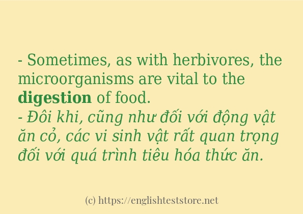 digestion cách dùng và câu ví dụ digestion cách dùng và câu ví dụ