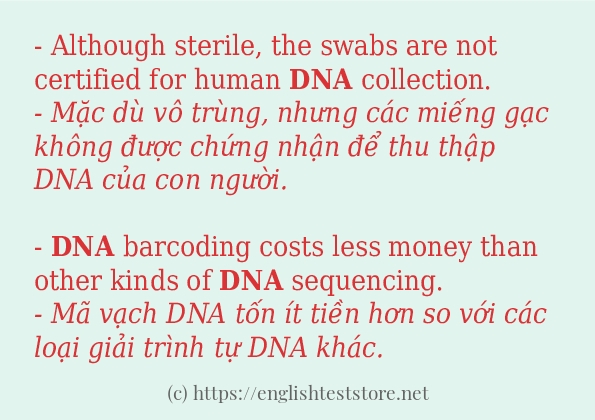 dna sử dụng như thế nào và câu ví dụ
