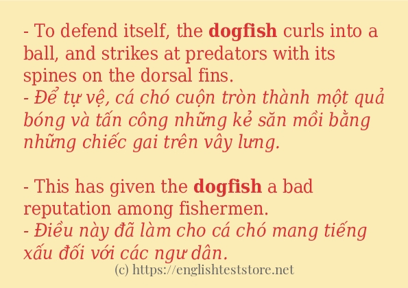 dogfish có bao nhiêu cách dùng? dogfish có bao nhiêu cách dùng?