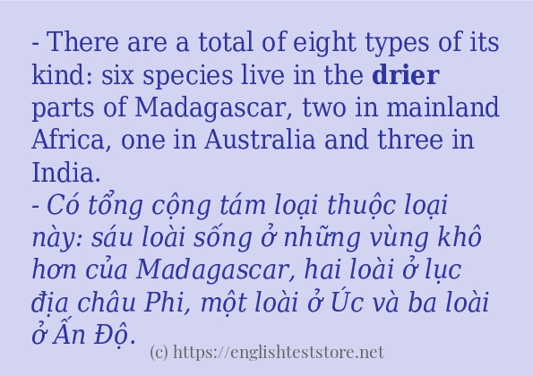 drier cách sử dụng trong câu và ví dụ