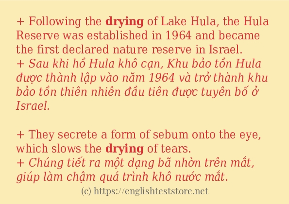 drying có bao nhiêu cách sử dụng?