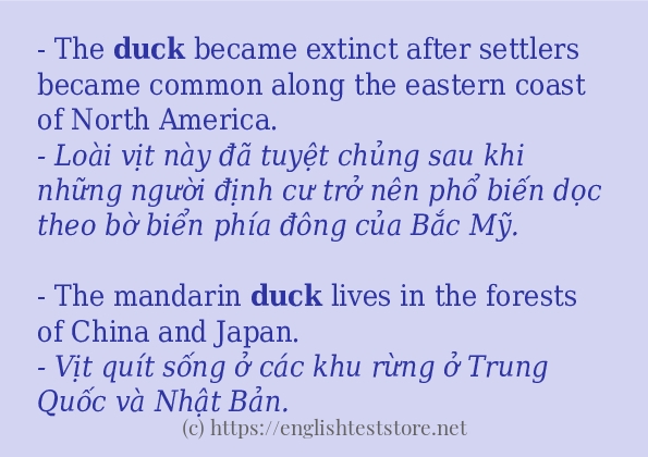 duck câu ví dụ và cách dùng