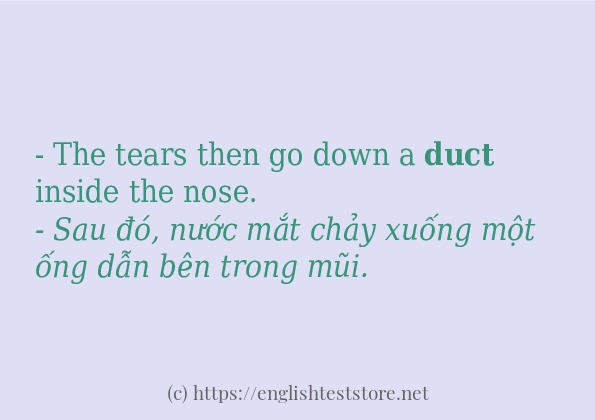 duct có bao nhiêu cách sử dụng?