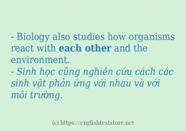 each other có bao nhiêu cách sử dụng? each other có bao nhiêu cách sử dụng?