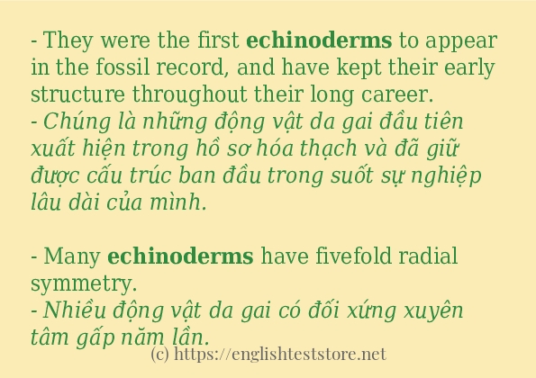 echinoderms có bao nhiêu cách sử dụng?