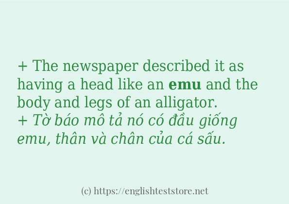 emu cách sử dụng và câu ví dụ