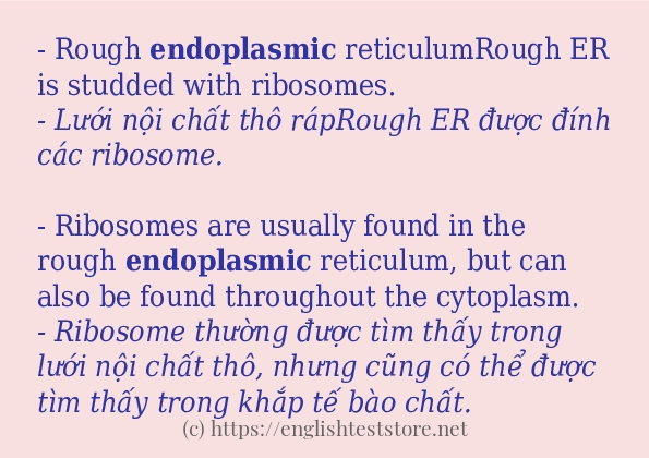 endoplasmic ví dụ cách dùng trong câu
