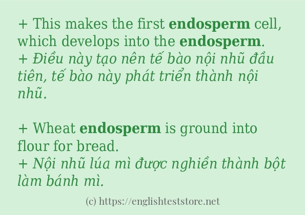 endosperm sử dụng thực tế trong câu