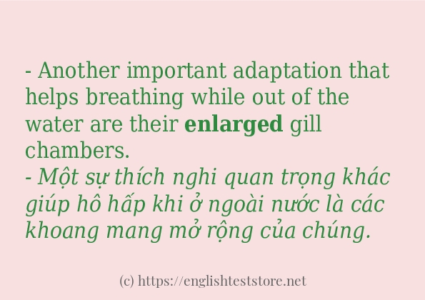 enlarged câu ví dụ về cách dùng