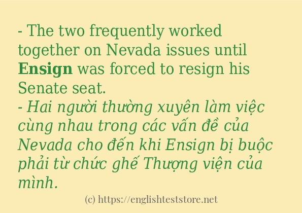 ensign ví dụ và cách sử dụng trong câu